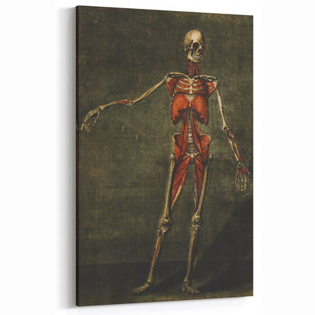 Grunge Wall Art - Vintage Anatomy Skeleton Grunge Canvas Print Decor