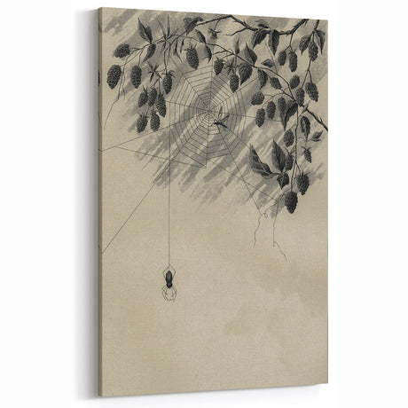 Grunge Wall Art - Spider Web and Berries Vintage Grunge Canvas Print