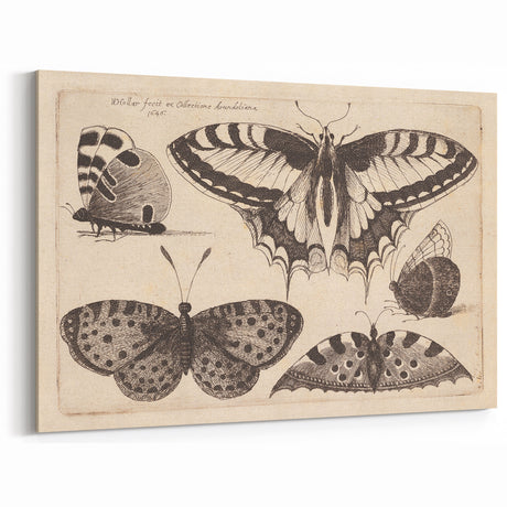 Vintage Grunge Butterfly Art | Grunge Aesthetic Decor | Urban Wall Print