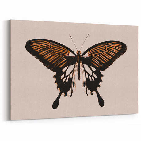 Urban Grunge Art | Grunge Butterfly Wall Art | Modern Grunge Canvas Print