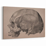 Grunge Skull Wall Art | Urban Grunge Aesthetic Art | Vintage Skull Print