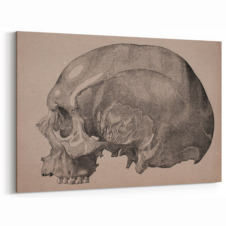 Grunge Skull Wall Art | Urban Grunge Aesthetic Art | Vintage Skull Print