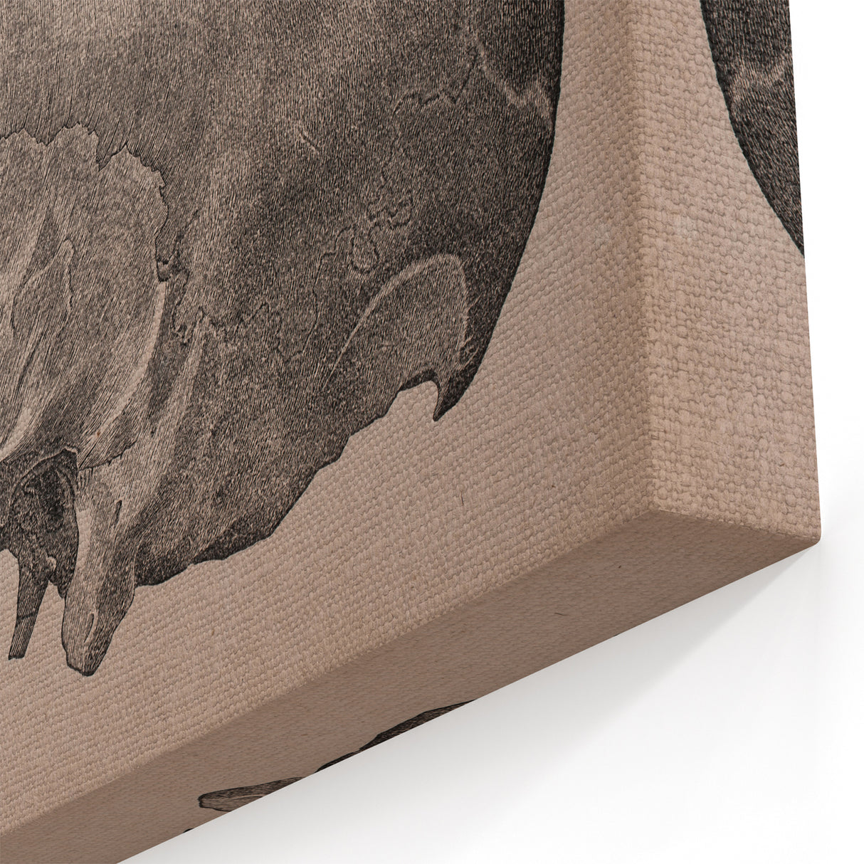Grunge Skull Wall Art | Urban Grunge Aesthetic Art | Vintage Skull Print