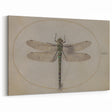 Grunge Wall Art: Dragonfly Illustration | Vintage Grunge Canvas Print