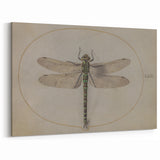 Grunge Wall Art: Dragonfly Illustration | Vintage Grunge Canvas Print