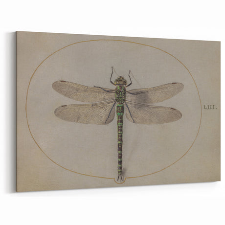 Grunge Wall Art: Dragonfly Illustration | Vintage Grunge Canvas Print