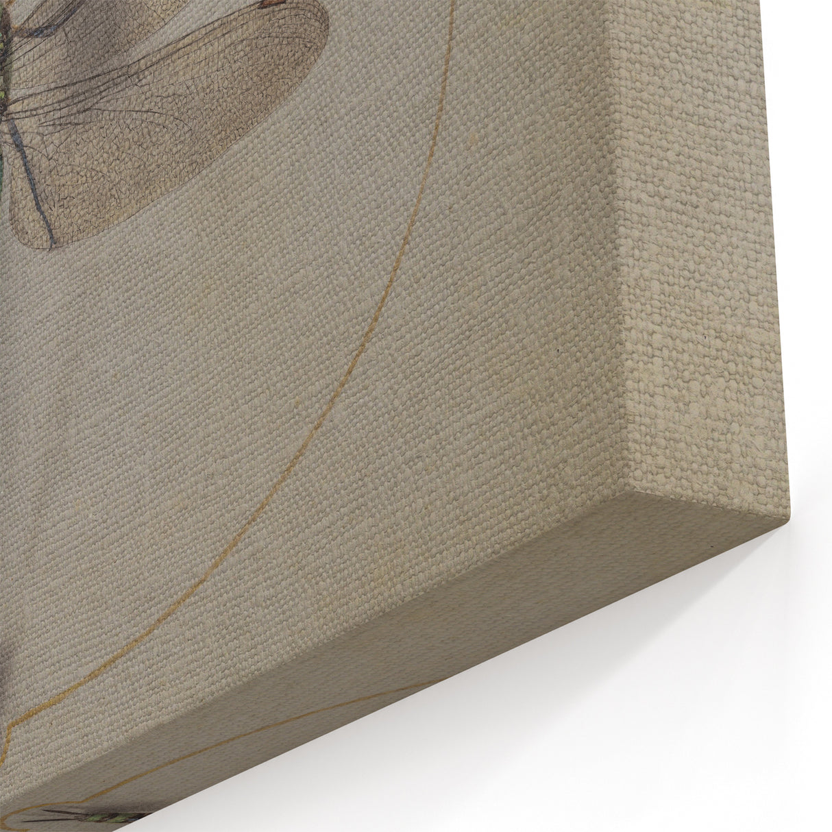 Grunge Wall Art: Dragonfly Illustration | Vintage Grunge Canvas Print