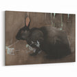 Grunge Wall Art: Black Rabbit Design | Vintage Grunge Canvas Print