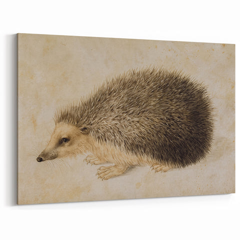 Grunge Wall Art: Hedgehog Illustration | Vintage Grunge Canvas Print