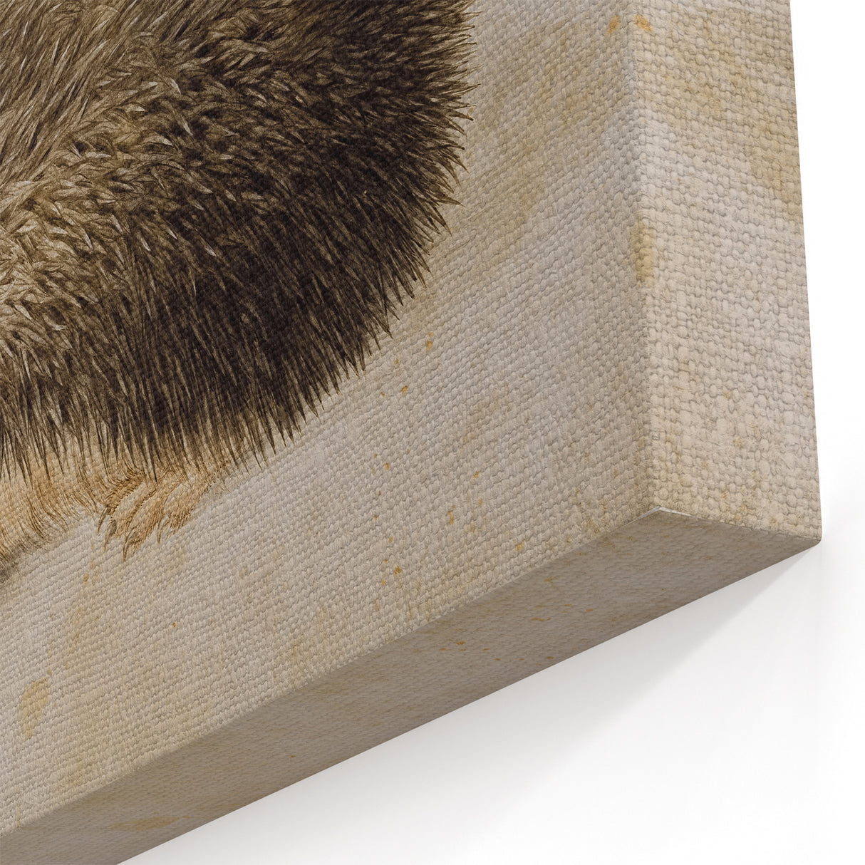 Grunge Wall Art: Hedgehog Illustration | Vintage Grunge Canvas Print