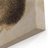 Grunge Wall Art: Hedgehog Illustration | Vintage Grunge Canvas Print
