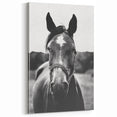 Black and White Horse Portrait – Rustic Farmhouse Wall Art Decor