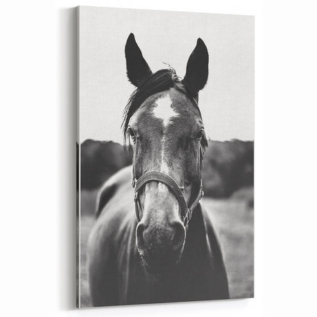 Black and White Horse Portrait – Rustic Farmhouse Wall Art Decor