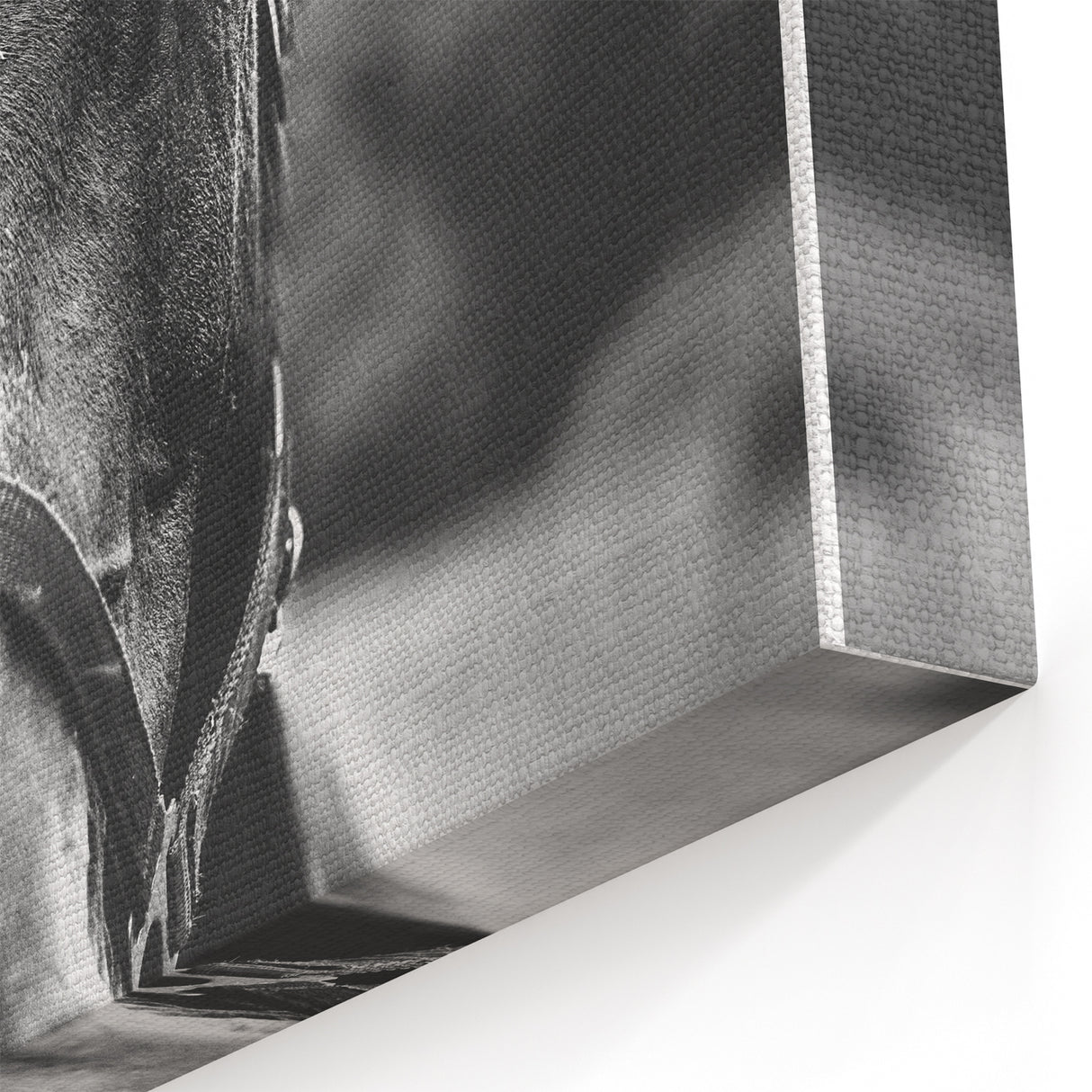 Black and White Horse Portrait – Rustic Farmhouse Wall Art Decor