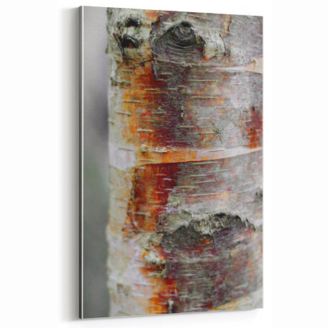 Rustic Tree Bark Wall Art – Farmhouse Nature Decor with Vintage Charm