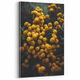 Rustic Yellow Flower Wall Art – Farmhouse Decor with Autumn Elegance