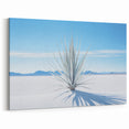 White Sands National Monument Demo (Horizontal) (Copy)