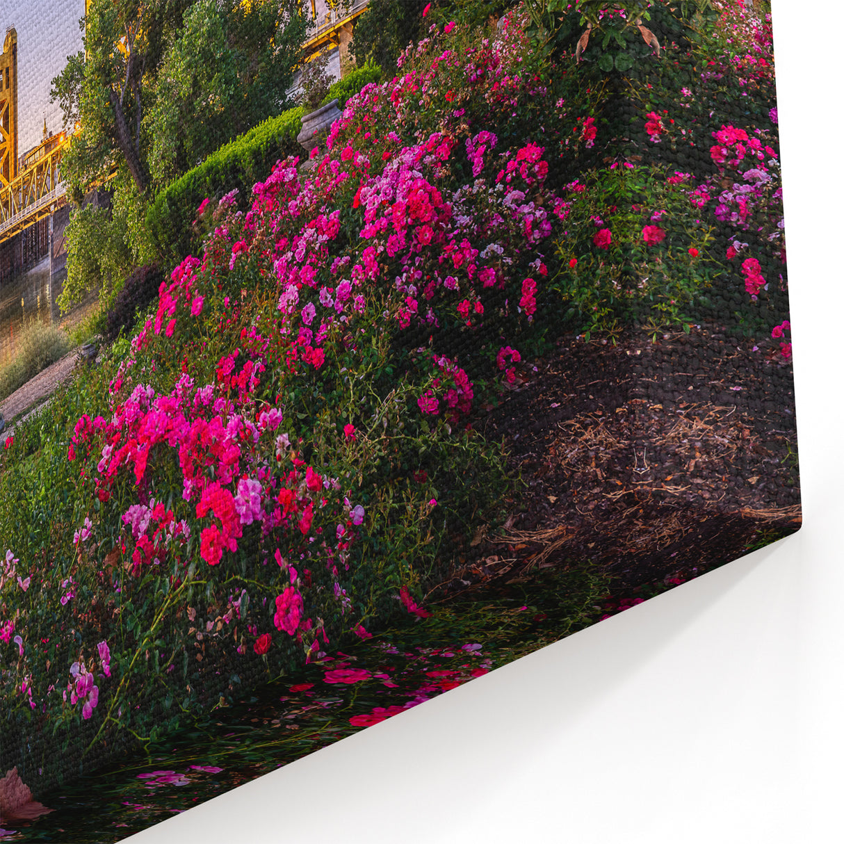 Tower Bridge Garden View – Sacramento Riverfront Floral Landscape Art