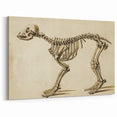 Grunge Aesthetic Art: Animal Skeleton Grunge Canvas Print for Urban Decor