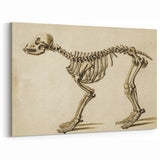 Grunge Aesthetic Art: Animal Skeleton Grunge Canvas Print for Urban Decor