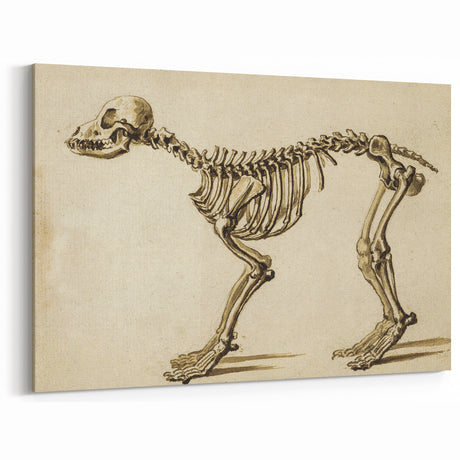 Grunge Aesthetic Art: Animal Skeleton Grunge Canvas Print for Urban Decor