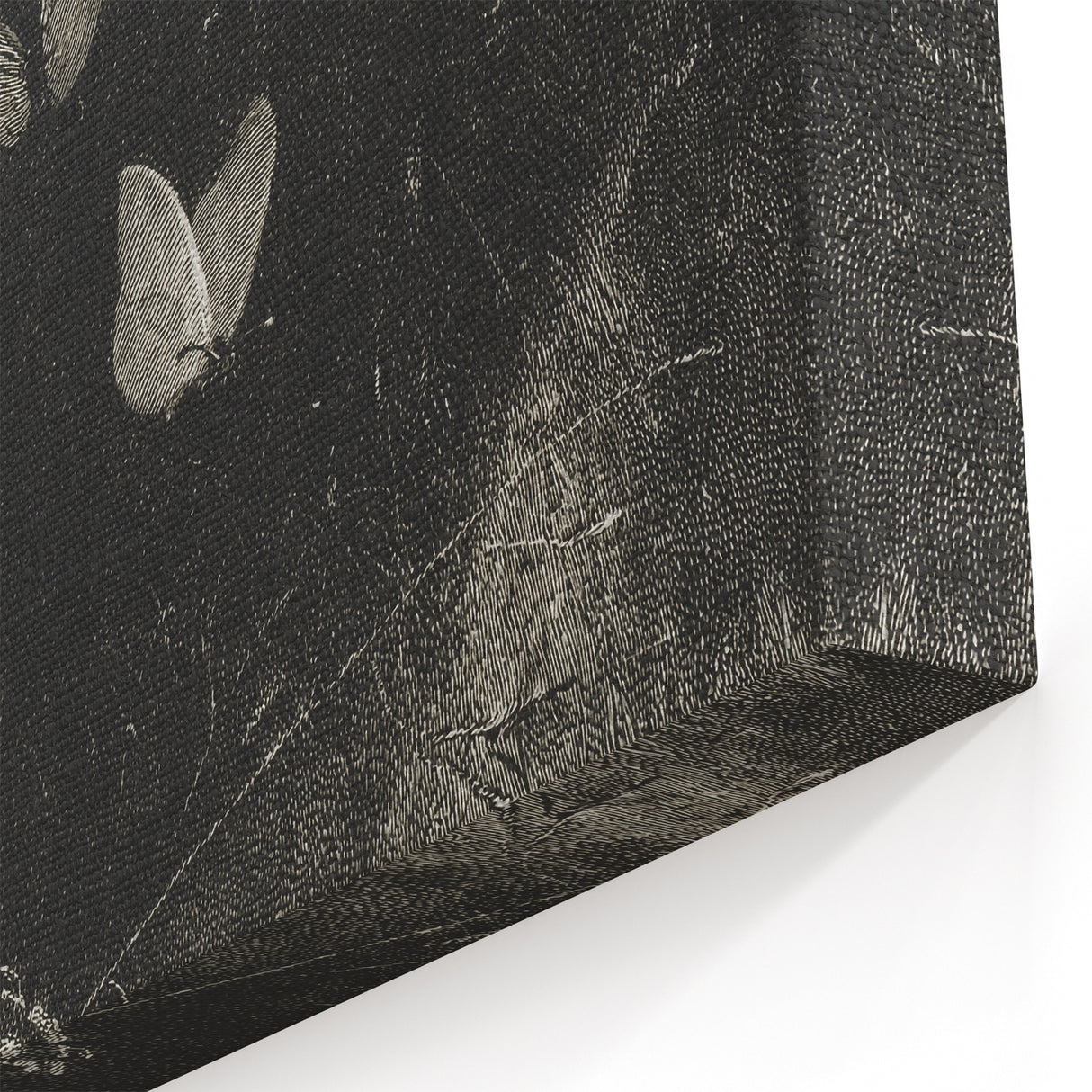 Grunge Aesthetic Art: Dark Butterfly Grunge Wall Art on Canvas