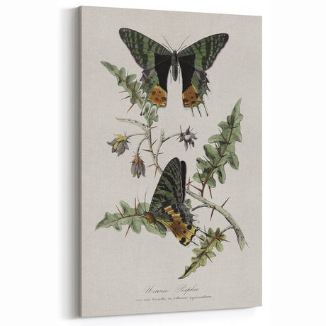 Grunge Aesthetic Art: Vintage Butterfly Illustration Grunge Wall Art
