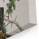 Grunge Aesthetic Art: Vintage Butterfly Illustration Grunge Wall Art