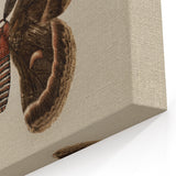Grunge Aesthetic Art: Vintage Moth Illustration Grunge Canvas Print