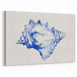 Seashell Coastal Wall Art – Nautical Beach-Themed Ocean Print