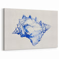 Seashell Coastal Wall Art – Nautical Beach-Themed Ocean Print