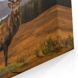 Highland Wall Art - Majestic Stag in Scottish Highlands