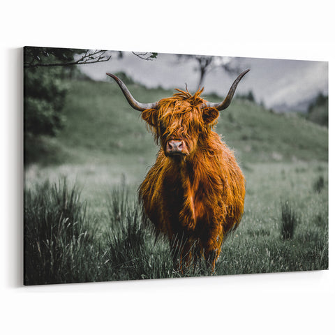 Highland Wall Art – Majestic Scottish Cow in the Rugged Highlands