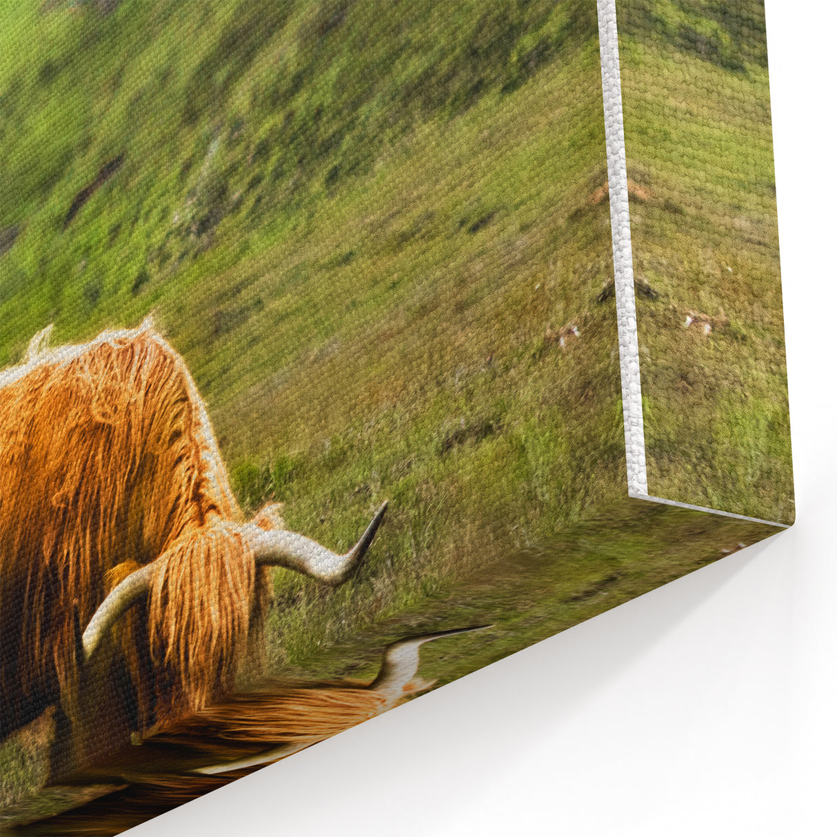 Rustic Wall Art - Highland Cow in Misty Pasture, Farmhouse Decor Print
