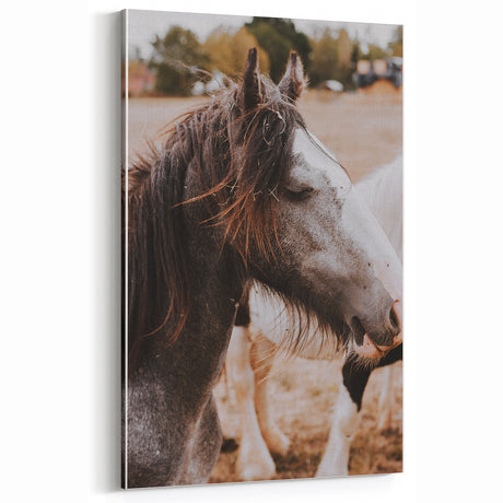 Rustic Wall Art - Gentle Horse Portrait, Vintage Farmhouse Decor Print