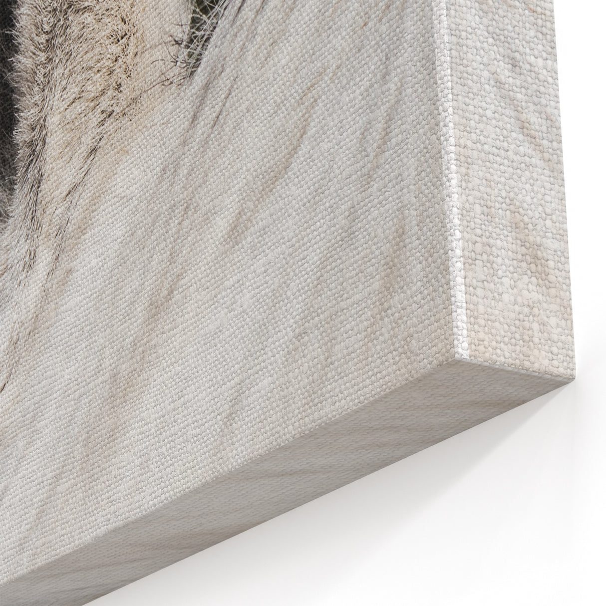 Rustic Wall Art - Close-Up Horse Ear Detail, Farmhouse Decor Print