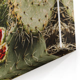 Rustic Wall Art - Prickly Pear Cactus with Red Fruit, Farmhouse Decor