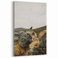 Rustic Wall Art - Bird on Rocks in Desert Landscape, Farmhouse Decor