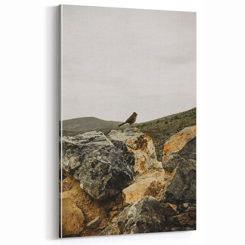 Rustic Wall Art - Bird on Rocks in Desert Landscape, Farmhouse Decor