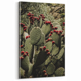 Rustic Wall Art - Prickly Pear Cactus with Red Fruit, Farmhouse Decor Print