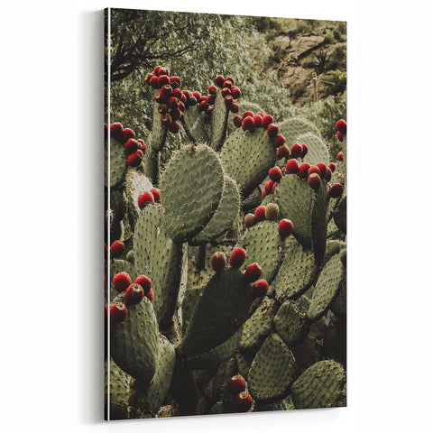 Rustic Wall Art - Prickly Pear Cactus with Red Fruit, Farmhouse Decor Print
