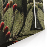 Rustic Wall Art - Prickly Pear Cactus with Red Fruit, Farmhouse Decor Print