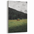 Rustic Wall Art - Horse Grazing in Mountain Valley, Farmhouse Decor Print