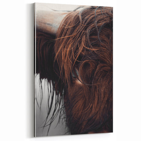 Rustic Wall Art - Close-Up of Highland Cow Fur, Farmhouse Decor Print