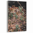 Rustic Wall Art - Green Seedlings in Nature for Farmhouse Nature Decor