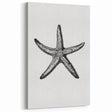 Black & White Starfish Coastal Wall Art - Nautical Decor Ocean Art Print