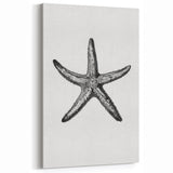 Black & White Starfish Coastal Wall Art - Nautical Decor Ocean Art Print