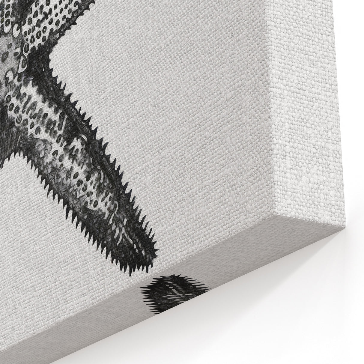 Black & White Starfish Coastal Wall Art - Nautical Decor Ocean Art Print