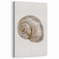 Coastal Wall Art - Nautical Snail Shell Print for Beach-Themed Decor