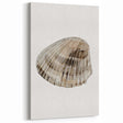 Coastal Wall Art - Nautical Seashell Print for Beach-Themed Decor